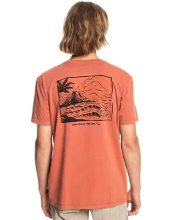 Quiksilver Silent Days T-Shirt Brown 9 Quiksilver Silent Days T-Shirt Brown -Quiksilver 910804240 3 720x928