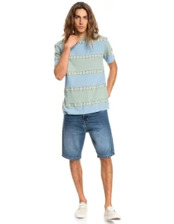 Quiksilver Mixtape Short Sleeve T-Shirt Mixtape Green Milieu 11 Quiksilver Mixtape Short Sleeve T-Shirt Mixtape Green Milieu -Quiksilver 923866660 5 720x928