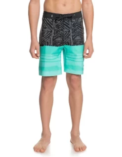 Quiksilver Everyday Five 0 17 Inch Boardshort In Multi
