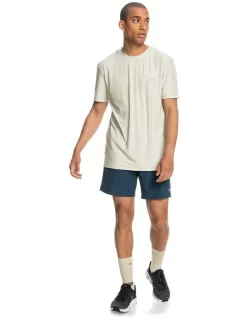 Quiksilver Coast Runner Short Sleeve T-Shirt In Antique White Heather -Quiksilver 933862240 5 720x928