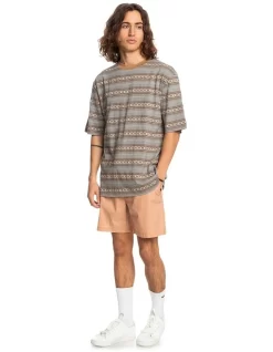 Quiksilver Patios Organic Short Sleeve T-Shirt In Tannin Patio -Quiksilver 933862420 5 720x928