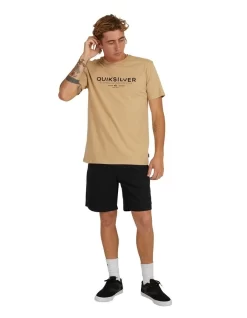 Quiksilver Waterman Ocean Spray T-Shirt In Incense -Quiksilver 933874120 5 720x928