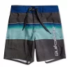 Quiksilver Pointbreak 12" Beachshort In Grey -Quiksilver 938496880 1 720x928