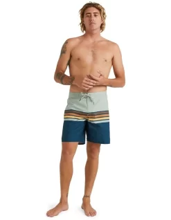 Quiksilver Everyday Swell Vision 18" Boardshort In Desert Sage -Quiksilver 959054050 5 720x928