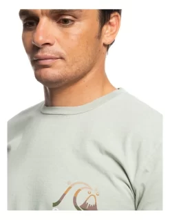 Quiksilver Island Time Short Sleeve T-Shirt In Desert Sage -Quiksilver 959058100 4 720x928