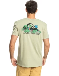 Quiksilver Naturally Quik Short Sleeve T-Shirt In Desert Sage -Quiksilver 959059000 3 720x928