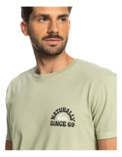 Quiksilver Naturally Quik Short Sleeve T-Shirt In Desert Sage -Quiksilver 959059000 4 720x928