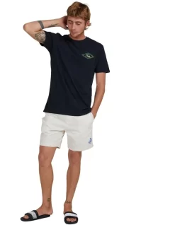 Quiksilver Funk Express T-Shirt In Black