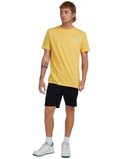 Quiksilver Rocky Trail Short Sleeve T-Shirt In Ochre 12 Quiksilver Rocky Trail Short Sleeve T-Shirt In Ochre -Quiksilver 959120200 5 720x928
