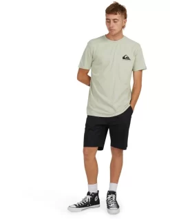 Quiksilver Corp Fills Short Sleeve T-Shirt In Desert Sage -Quiksilver 959122180 5 720x928