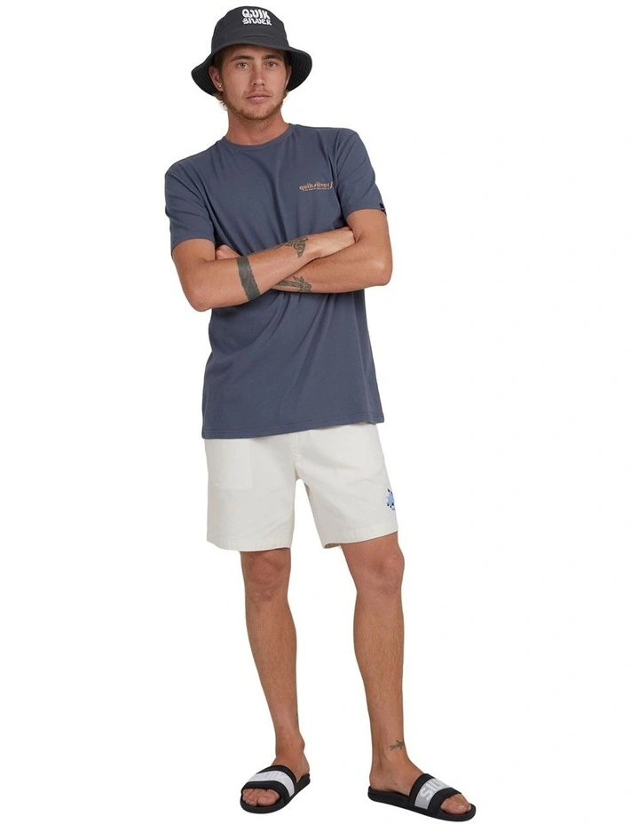 Quiksilver Happy Hour Short Sleeve T-Shirt In Iron Gate 3 Quiksilver Happy Hour Short Sleeve T-Shirt In Iron Gate