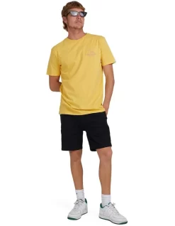 Quiksilver Days Off Short Sleeve T-Shirt In Ochre -Quiksilver 959122720 5 720x928