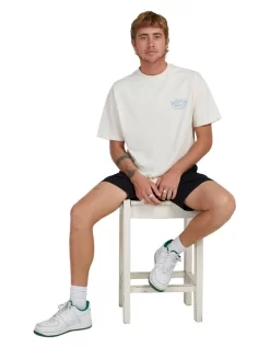 Quiksilver Arch The Soul Short Sleeve T-Shirt In Birch