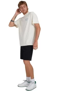 Quiksilver Arch The Soul Short Sleeve T-Shirt In Birch -Quiksilver 959122900 5 720x928