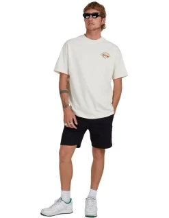 Quiksilver Lost Tracks Short Sleeve T-Shirt In Birch -Quiksilver 959123080 6 720x928