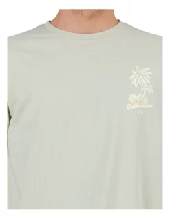 Quiksilver No Vacancy Short Sleeve T-Shirt In Desert Sage -Quiksilver 959123170 6 720x928