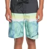 Quiksilver Everyday Panel 17" Boardshort In Green Ash -Quiksilver 959269780 1 720x928