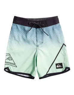 Quiksilver Everyday New Wave 12" Boardshort In Green Ash
