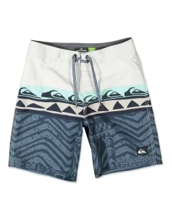 Quiksilver Everyday Panel Boardshort In Grey