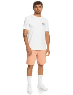 Quiksilver Trip Away Tracksuit Shorts In Beige -Quiksilver 977983660 6 720x928