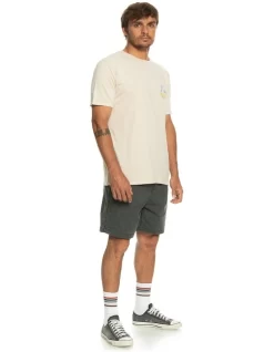 Quiksilver Arts In Palm T-Shirt In White -Quiksilver 977989510 4 720x928