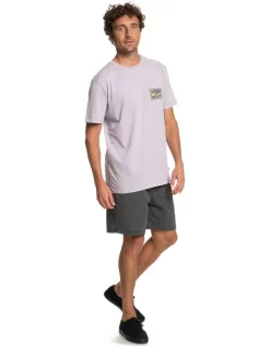 Quiksilver Fortuned Logo T-Shirt In Purple -Quiksilver 977989690 5 720x928