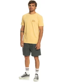 Quiksilver Enjoy Not Destroy T-Shirt In Yellow -Quiksilver 977989960 4 720x928