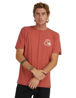 Quiksilver The Original T-Shirt In Pink